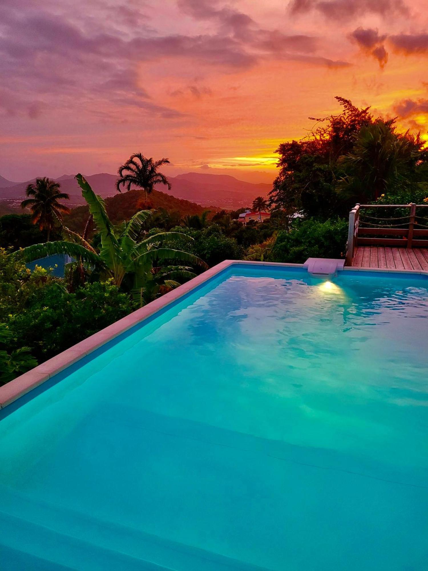 Villa Cosaroe 6-14 Pers Piscine Et Superbe Vue Mer Panoramique Riviere-Salee エクステリア 写真