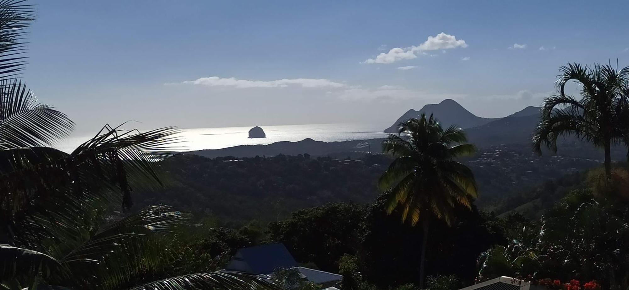 Villa Cosaroe 6-14 Pers Piscine Et Superbe Vue Mer Panoramique Riviere-Salee エクステリア 写真